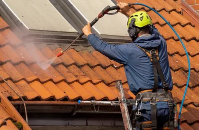 Démoussage et hydrofuge de toiture à Excenevex